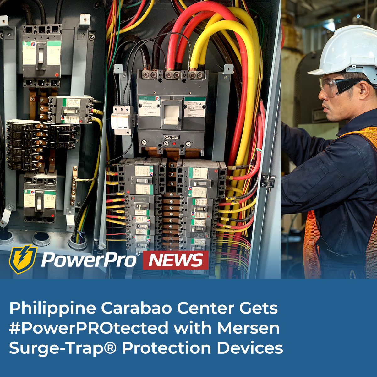 PowerPro Installs Mersen Surge Protection Devices for Philippine Carabao Center